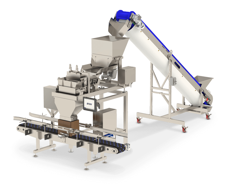 Machine with conveyor for weighing and filling solids into cases and containers