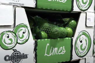 Catania Vassoyo Air Tray Former 6