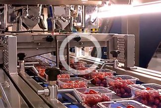 tray packing machines