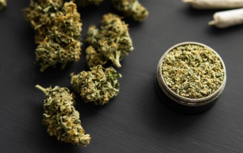 Cannabis flower product examples