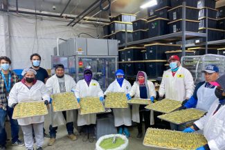 customer cannabis joints