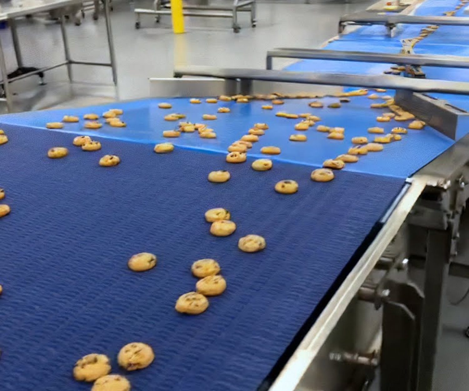 SleekWrapper HSA Highspeed Cookie Flow Wrapping Machine