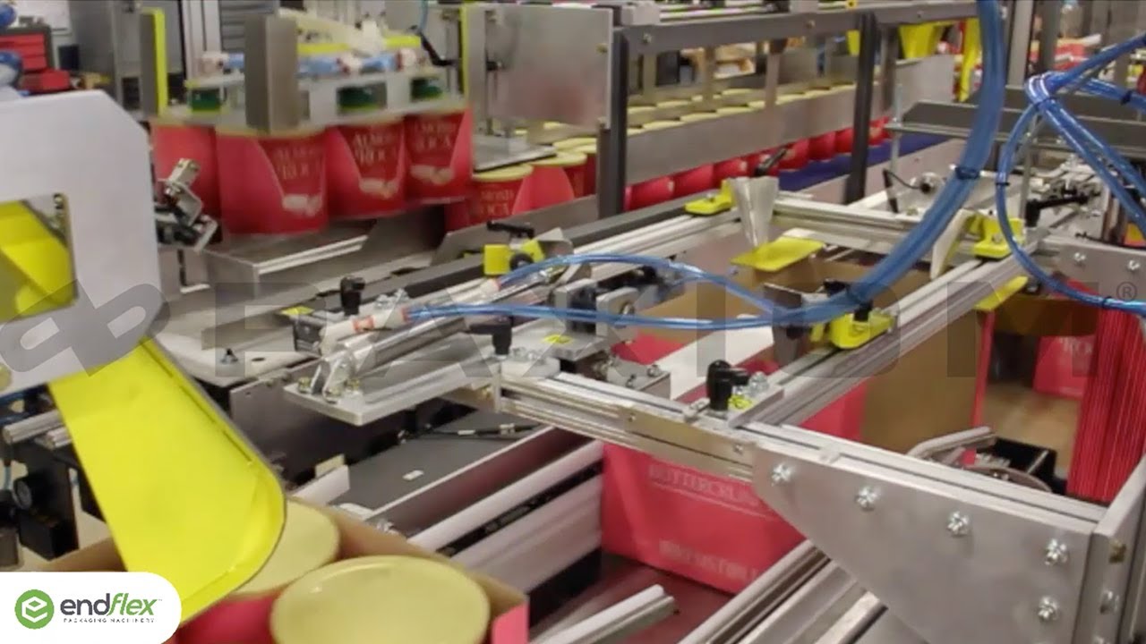 EndFlex container case packing machine with logo orientation