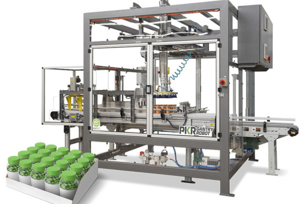 Robotic Packaging machine gantry top load case packer