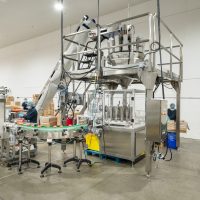 Vegan CBD Gummies For Managing Muscle Spasms And Seizures