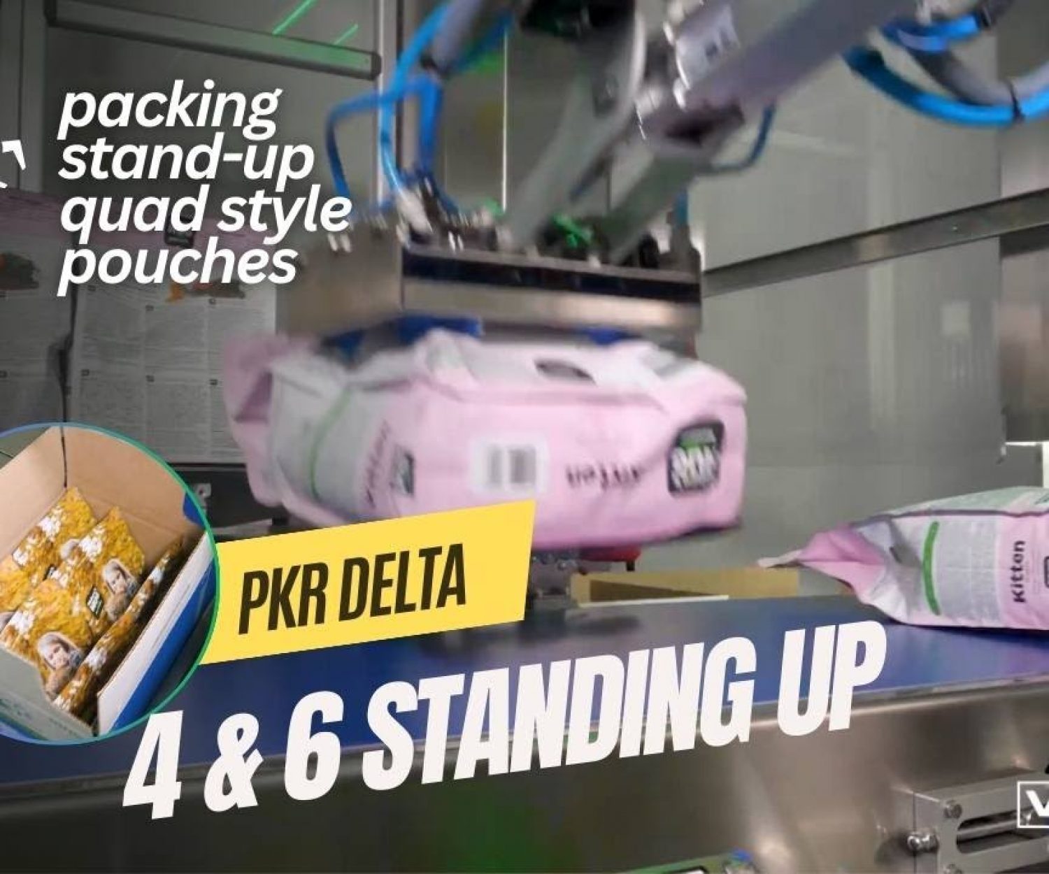 Packing Stand Up Quad-Style Pouches into Cases with PKR Delta Robot Cell