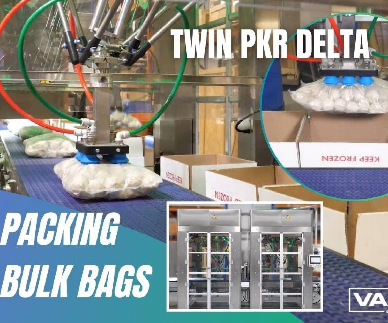 Twin PKR Delta Retail Bag Case Packing System For Up to 85 Bags Per Minute