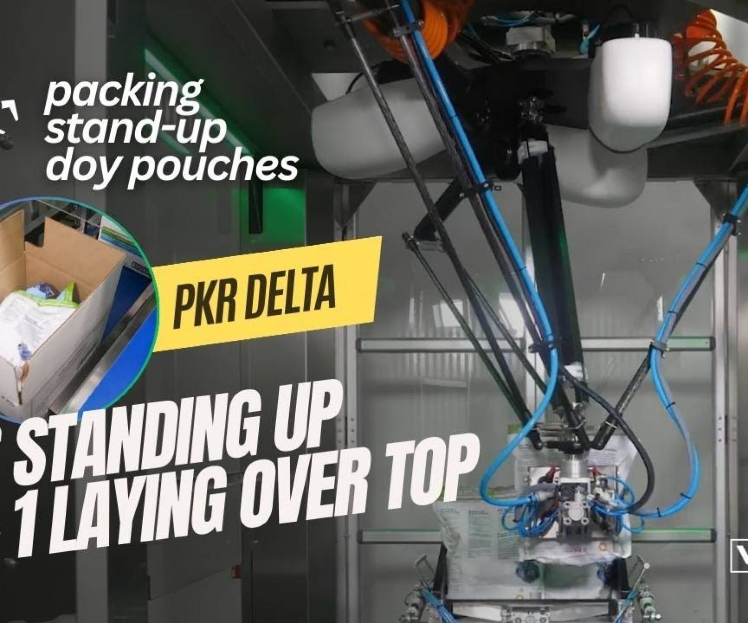 PKR Delta Robot Packing Stand Up Doy Style Pouches Into Cases