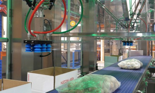 Dual Cell PKR Delta Case packer