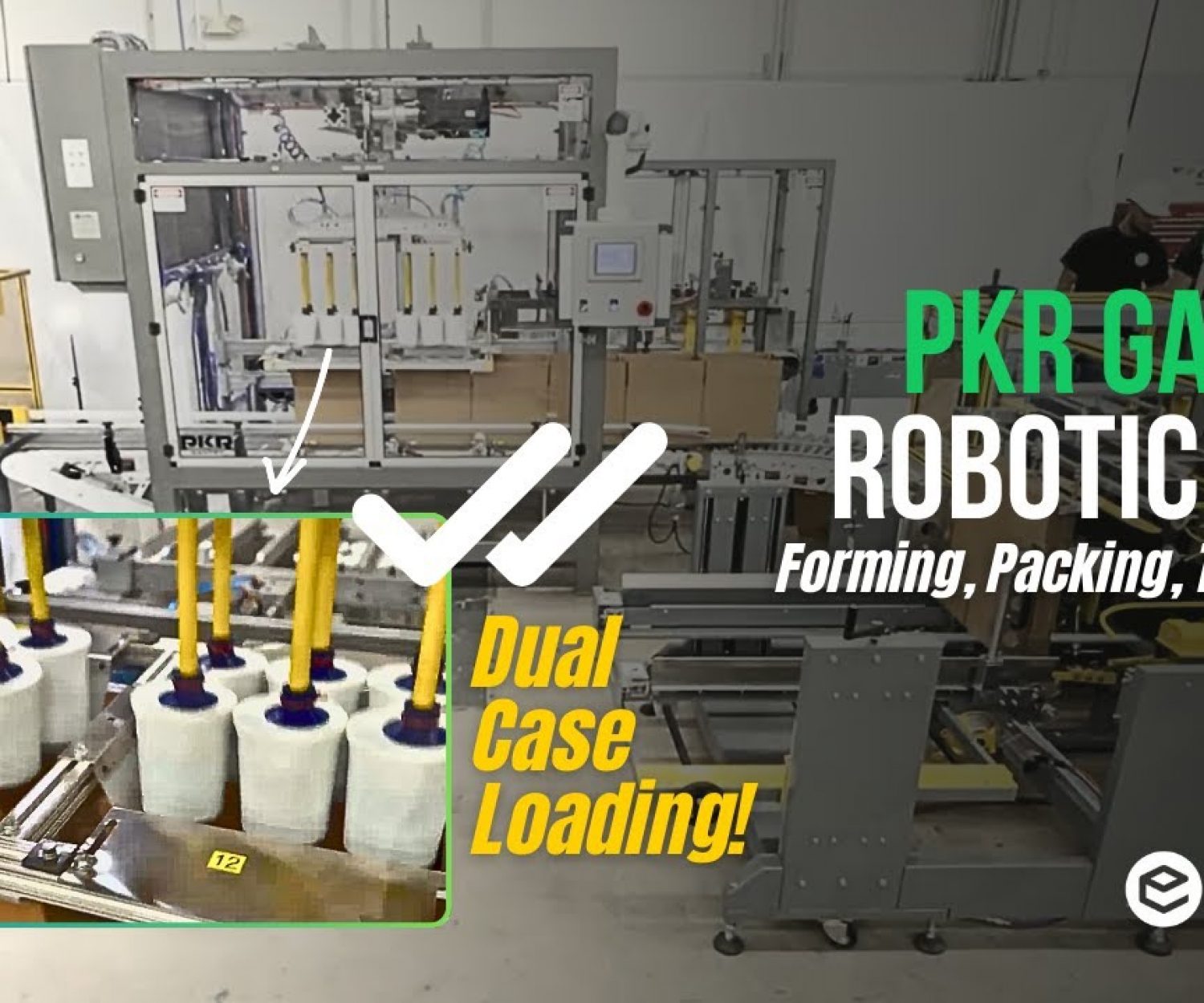 PKR Gantry Robotic Pick & Place Case Packing System for Tubs - Dual Case Loading