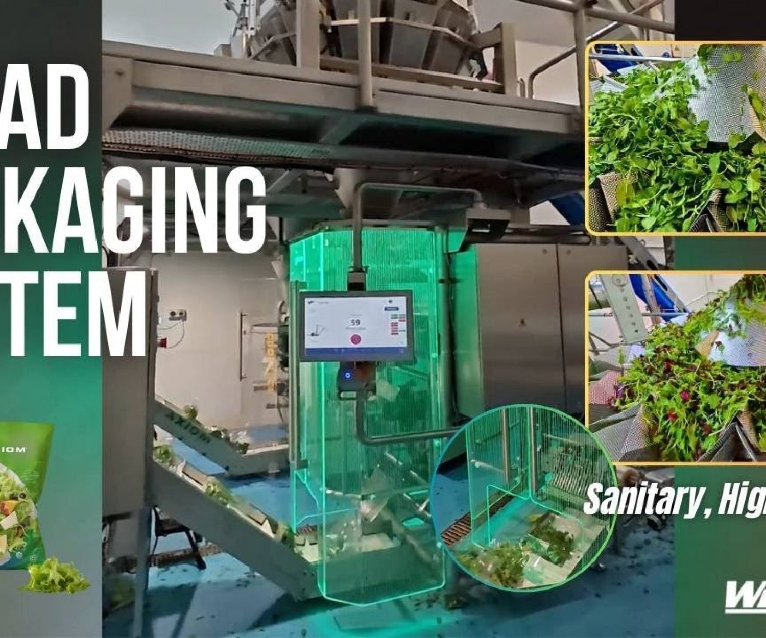 Dual High Speed Fresh Spinach & Mixed Green Salad Packaging System - PrimoCombi & VF1200