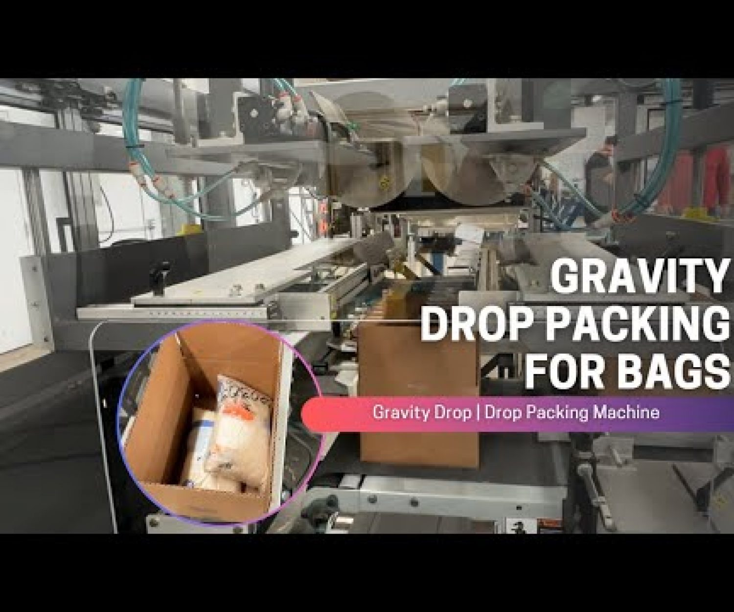 Gravity Drop Case Packing Machine for Bags