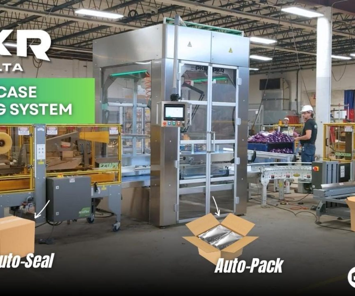 PKR Delta Complete Pouch Case Packing System with Automated Case Forming & Sealing
