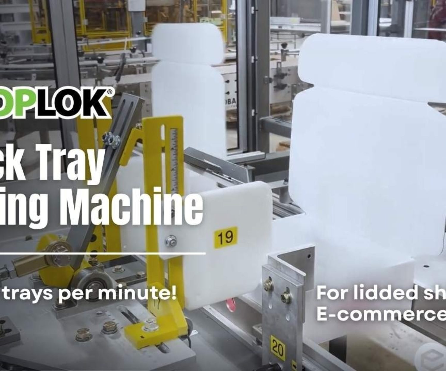 PopLok 3-Tuck Tray Forming Machine for Lidded Shippers and Ecommerce Trays